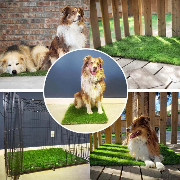 Dog Grass Pee Pads