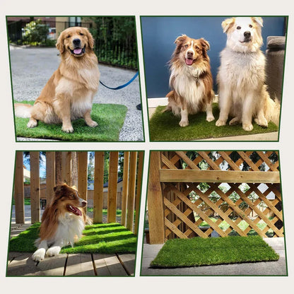 Dog Grass Pee Pads